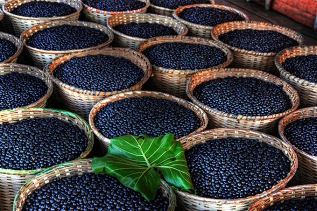 Açai